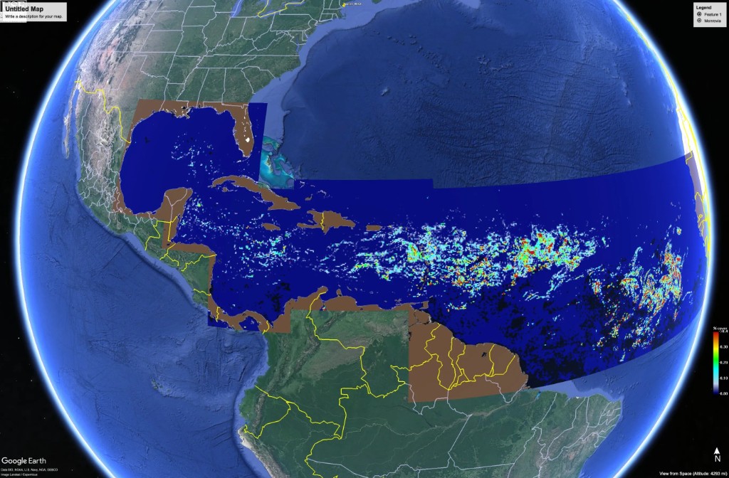 Sargassum bloom from space